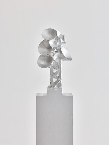 Bloom 1