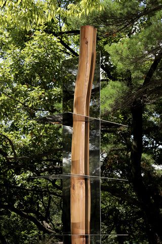 Split Shelf 02