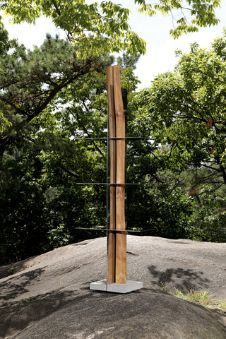 Split Shelf 02