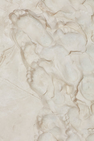 SPOOR XV White