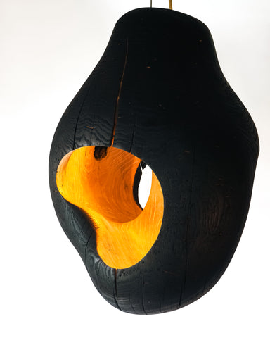 Brood Lamp