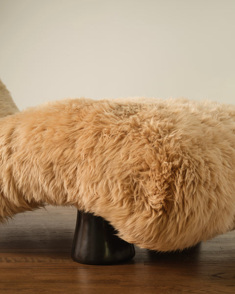 Florentino Chaise