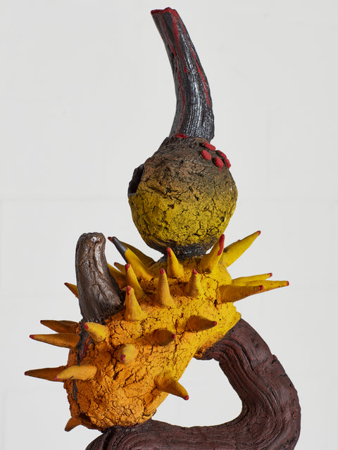 Undlwana I - Small Ant Nest