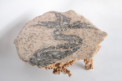 Sea Creature Coffee Table