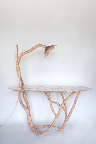 Caracalla console
