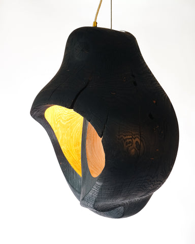 Brood Lamp