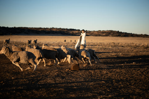 © Marius Joubert
