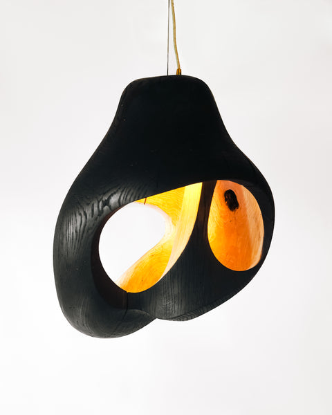 Brood Lamp