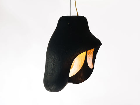 Brood Lamp