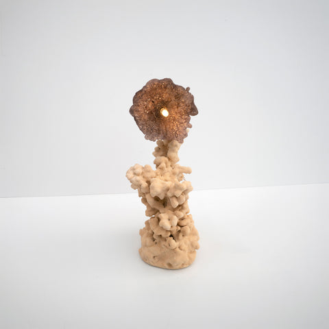 Goetite Lamp