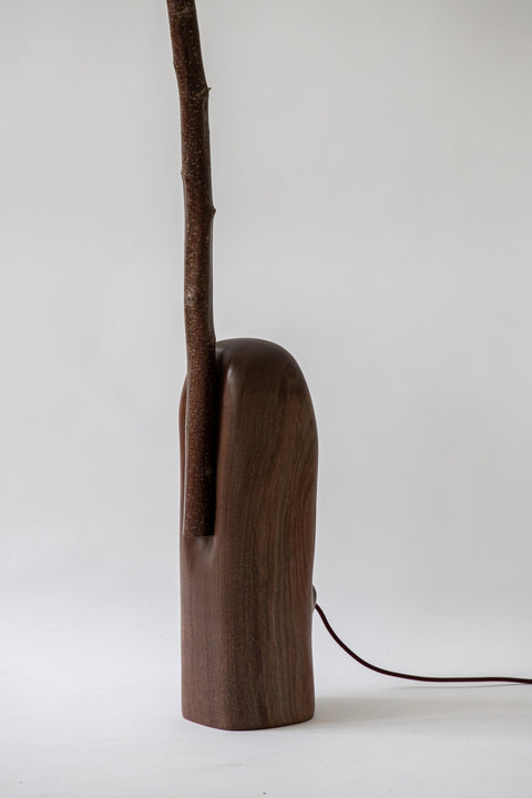 Not Wasted Standing Light Tall