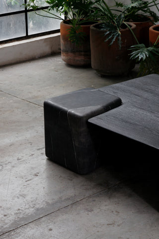 Small Low Table EM01