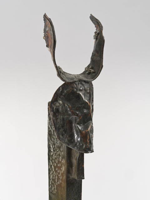 Immigrant from Space