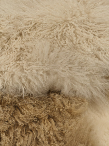 Stills Carpet