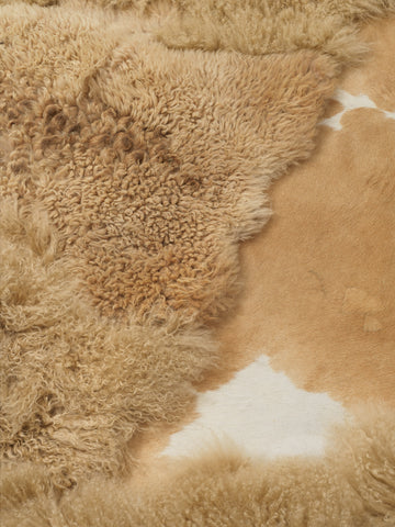 Stills Carpet