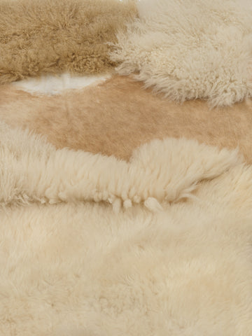 Stills Carpet
