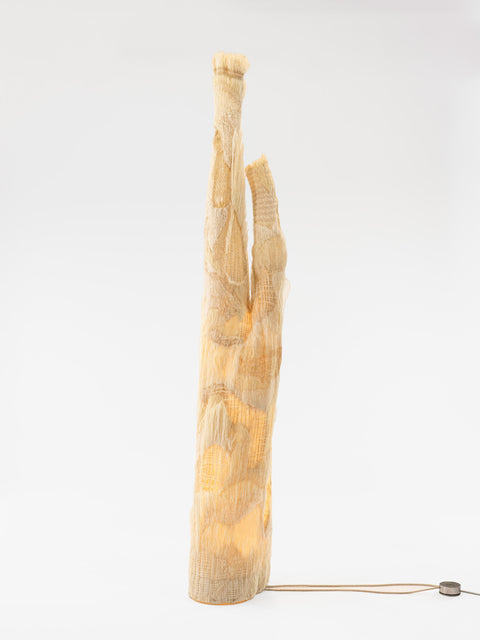 Romaji Namiki (A raw of tress)