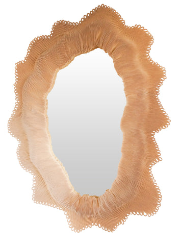 Orbicella