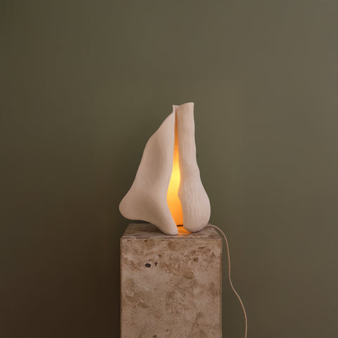 Reef Lamp
