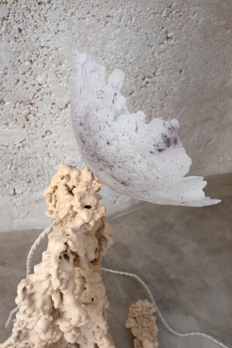 Rheo Lamp