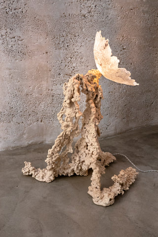 Rheo Lamp