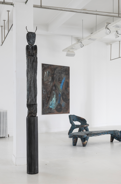 Under Venusian Skies