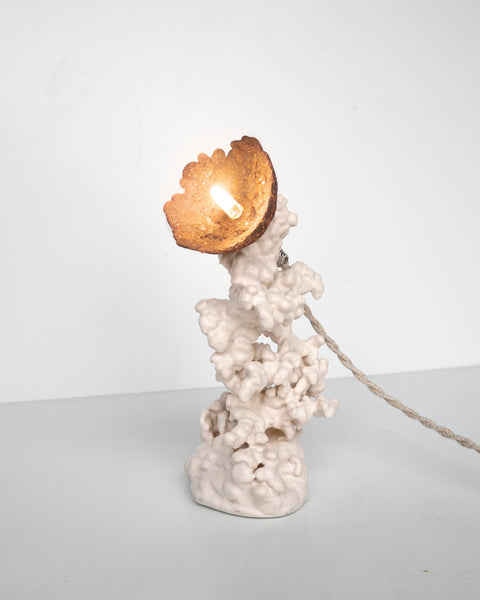Epimorph lamp - Selenite