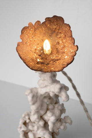 Epimorph lamp - Selenite
