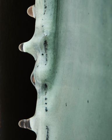 Green Wallpiece