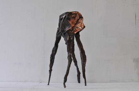 Arachne