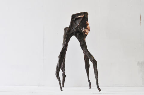 Arachne