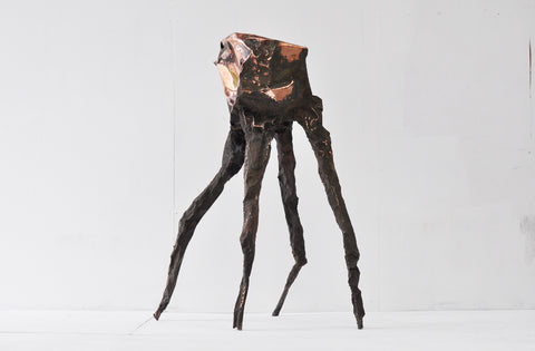 Arachne