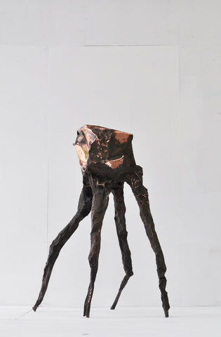 Arachne