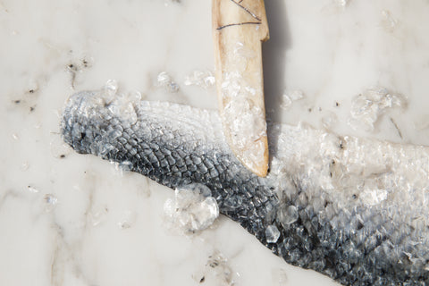 Studio Nienke Hoogvliet Fish Leather