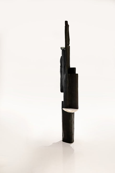 Totem - Les témoins d'agentivités