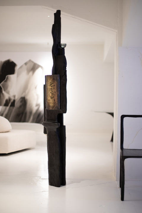 Totem - Les témoins d'agentivités