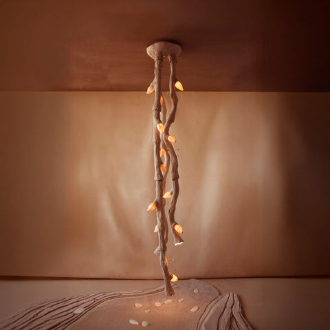 Emergence
