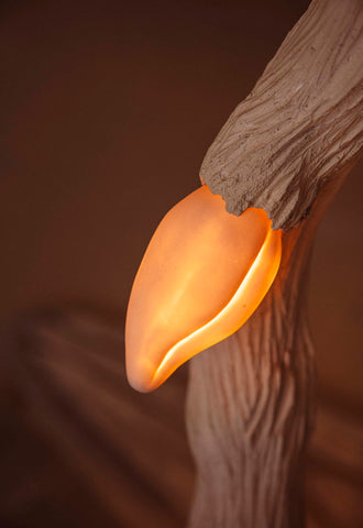 Emergence