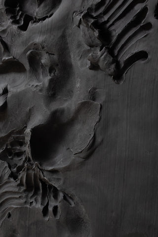 SPOOR X