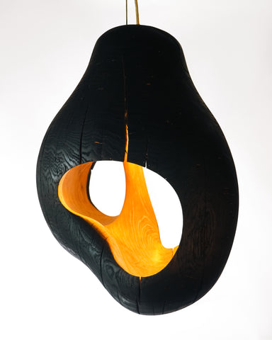 Brood Lamp