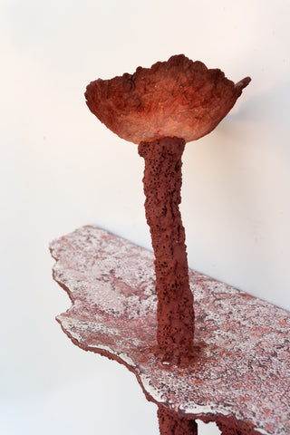 Coccoidea