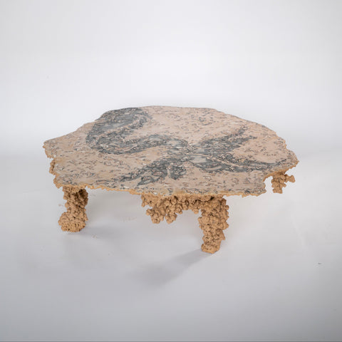 Sea Creature Coffee Table