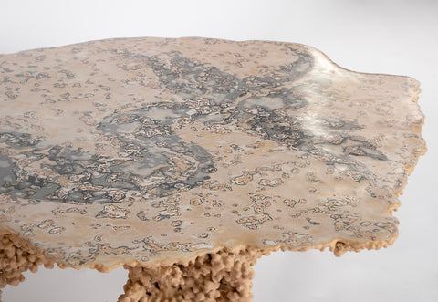 Sea Creature Coffee Table