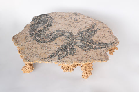 Sea Creature Coffee Table