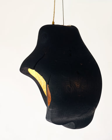 Brood Lamp