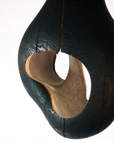 Brood Lamp