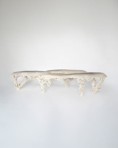 Epimorph bench