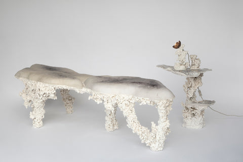 Epimorph bench