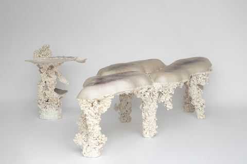 Epimorph bench
