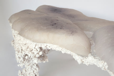 Epimorph bench